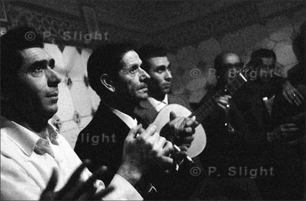 Bernardo el de los Lobitos