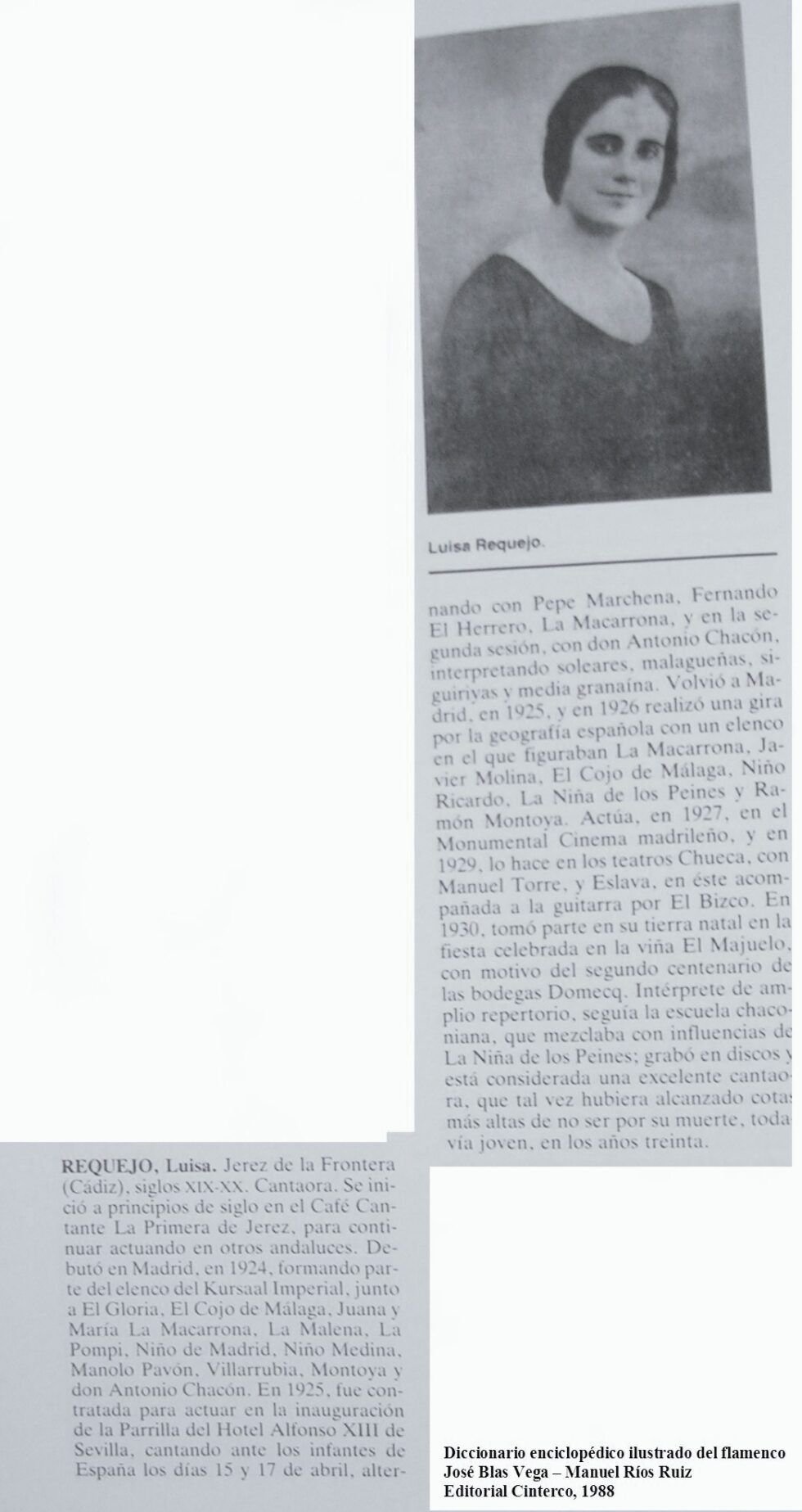 Luis Requejo. flamencopizarra.com