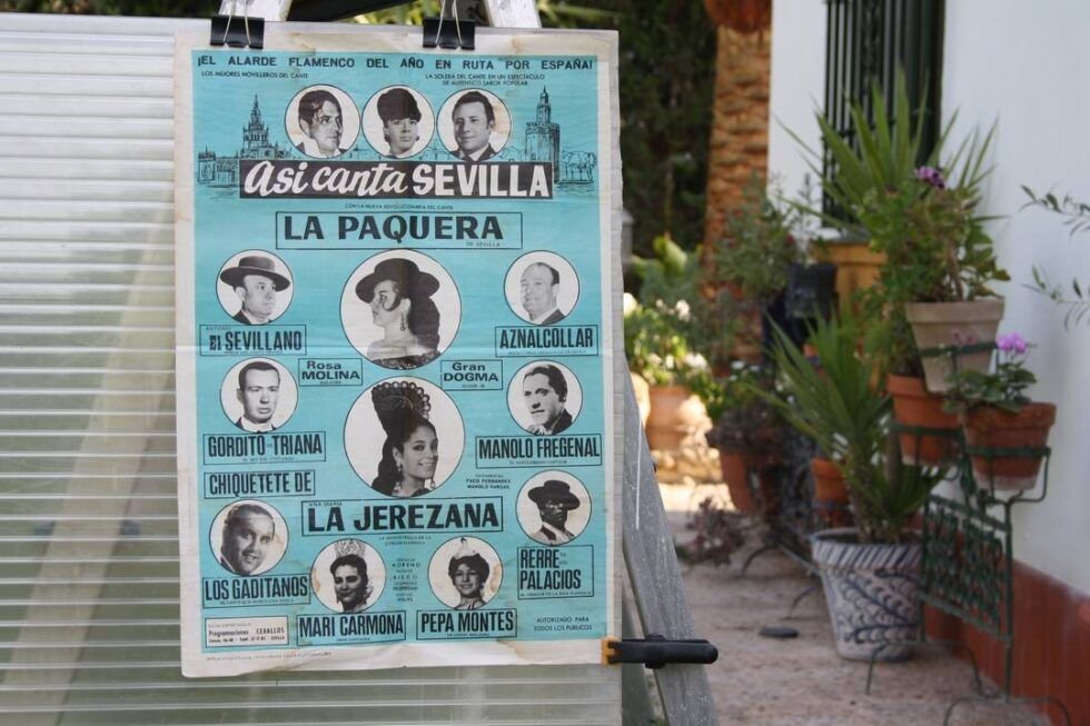 Niño de Aznalcóllar. flamencopizarra.com